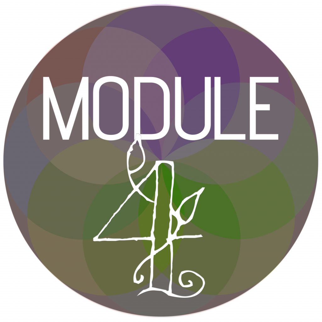 Module Sphere 4
