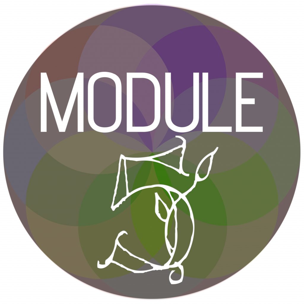 Module Sphere 5
