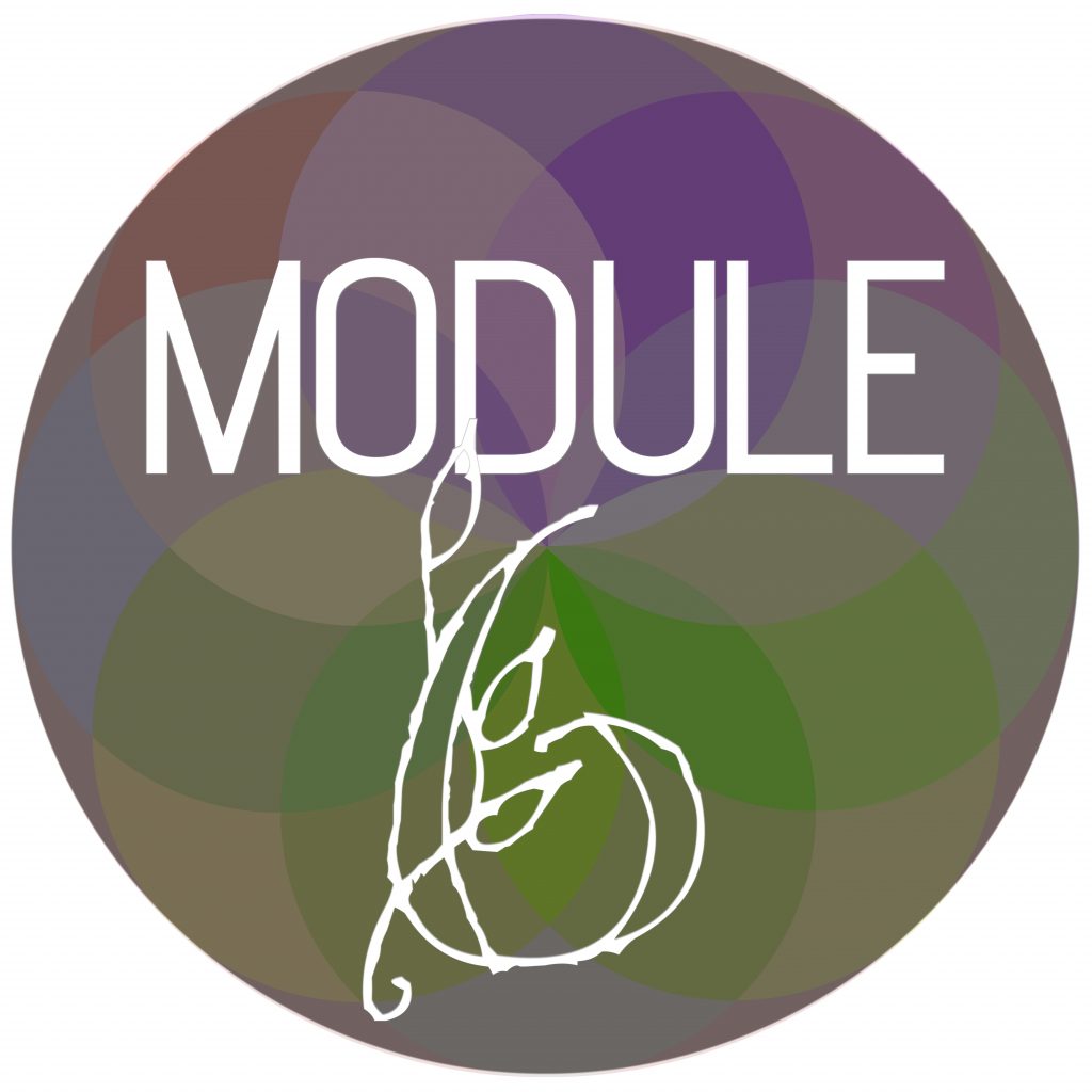 Module Sphere 6