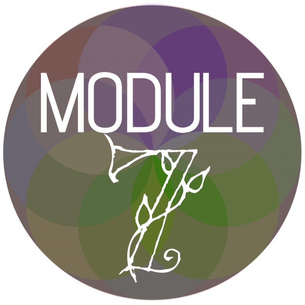Module Sphere 7